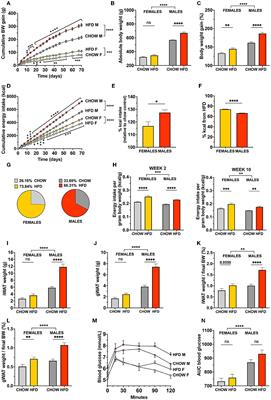 Sex and Species Differences in the Development of Diet-Induced Obesity and Metabolic Disturbances in Rodents